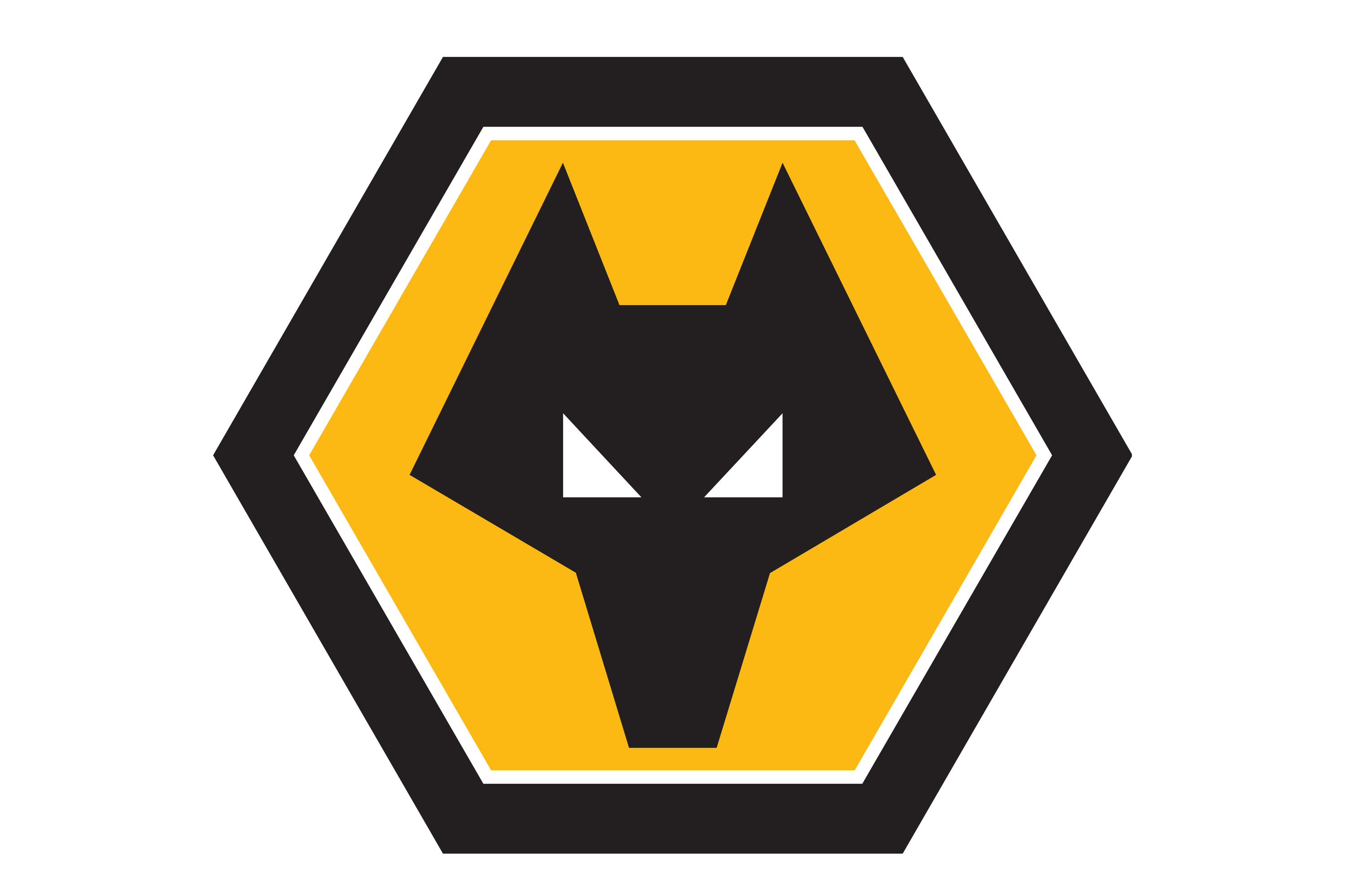 伍尔弗汉普顿豪夺全擒，轻松击倒对手