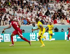 厄瓜多尔选手果断出击，荣耀加冕