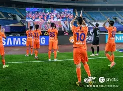 闪耀全球赛场月下行，胜利花开笑逐颜开的简单介绍