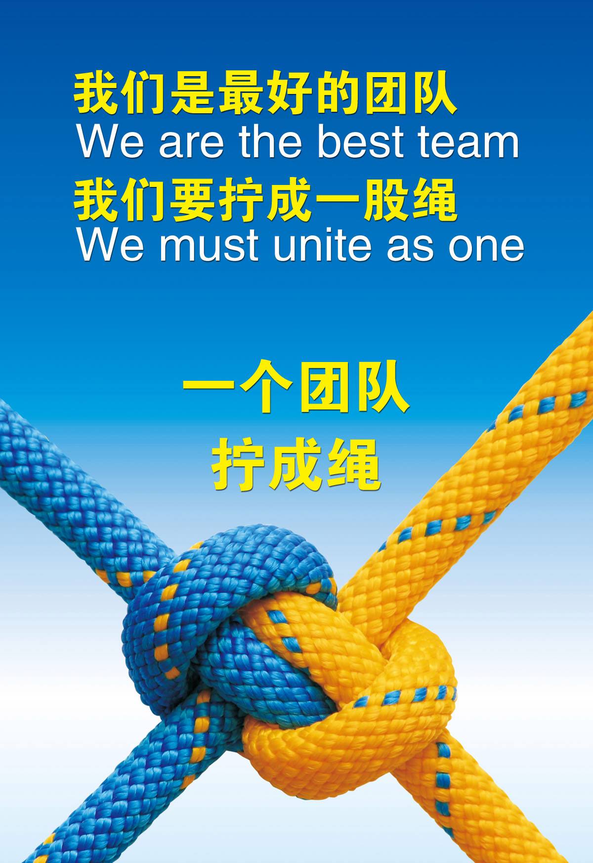 球队整体实力爆发，团结合作助力胜利的简单介绍